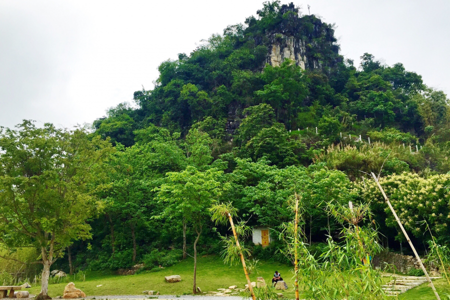 几枝新叶翠翠竹，一座太极青青山。靖西太极山太极公园 - 靖西市·靖西网