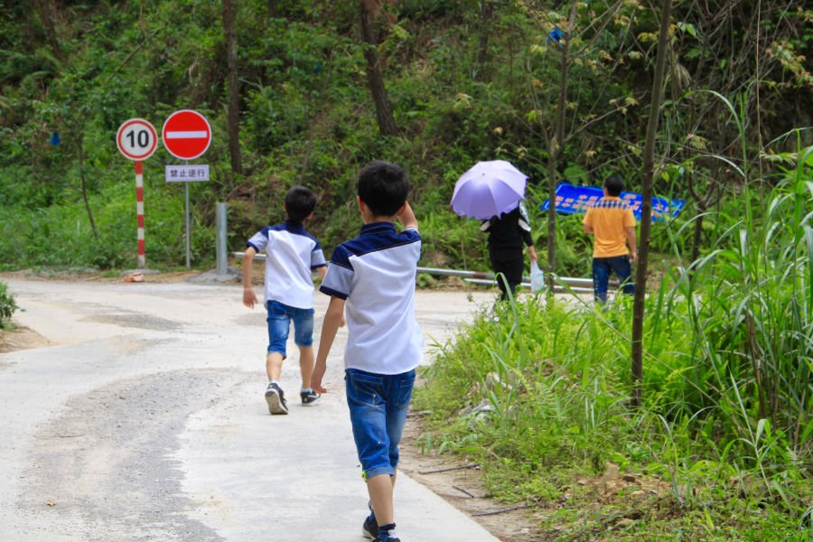 五岭森林公园——丛林游记 - 靖西市·靖西网