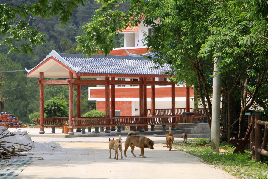 五岭森林公园——丛林游记 - 靖西市·靖西网