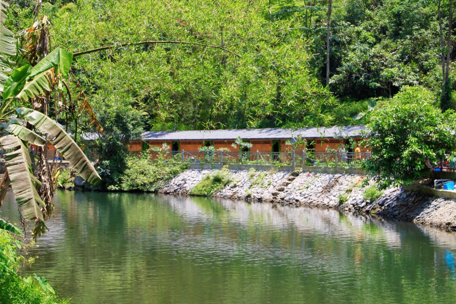 青年企业家培训基地山青水秀，风景幽美。 - 靖西市·靖西网