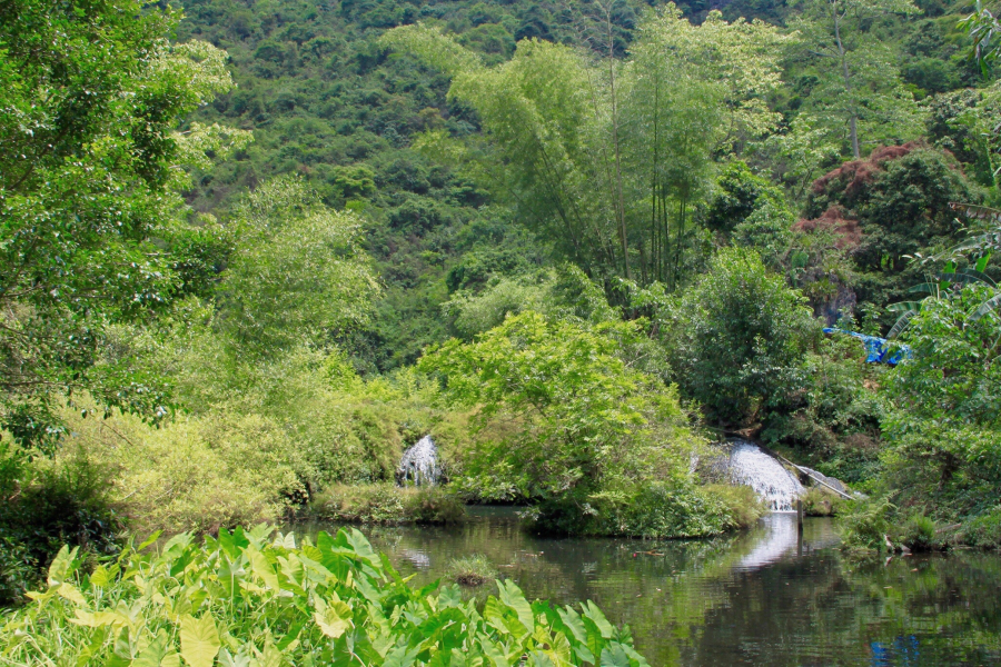 青年企业家培训基地山青水秀，风景幽美。 - 靖西市·靖西网