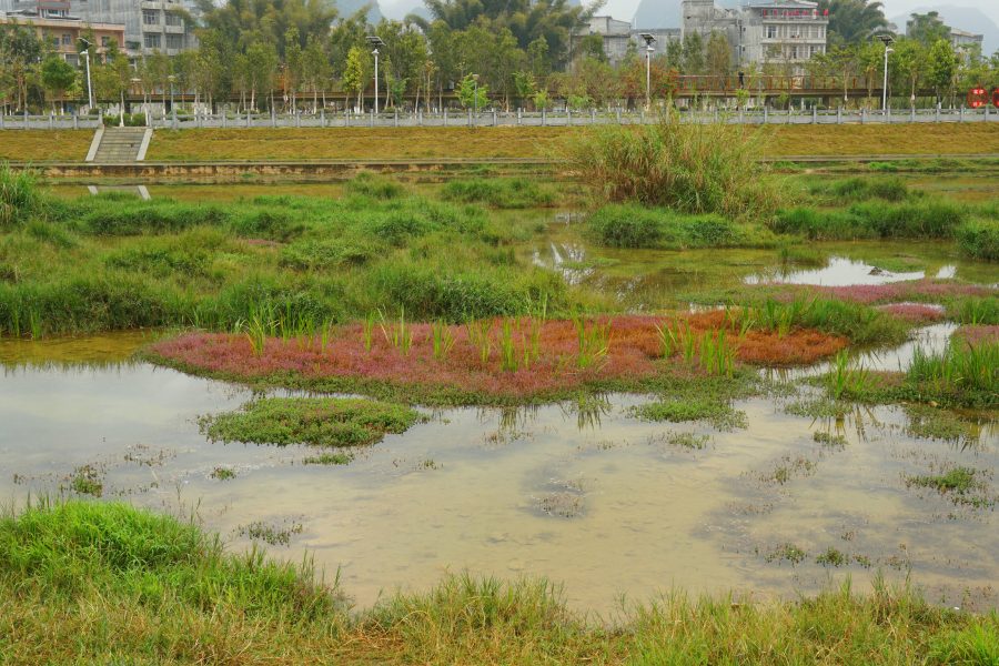 湿地 - 靖西市·靖西网