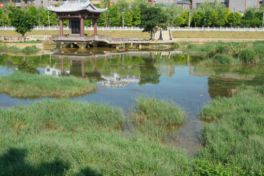 湿地 - 靖西市·靖西网