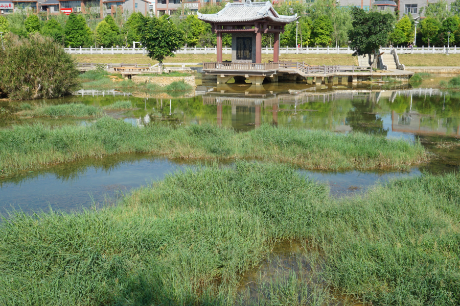 湿地 - 靖西市·靖西网