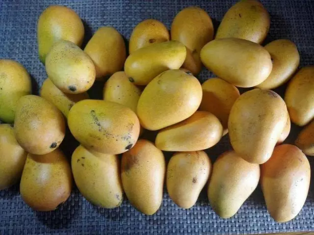 夏天吃西瓜的呗侬都这样挑的！！！！ - 靖西市·靖西网