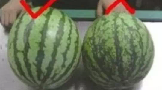 夏天吃西瓜的呗侬都这样挑的！！！！ - 靖西市·靖西网