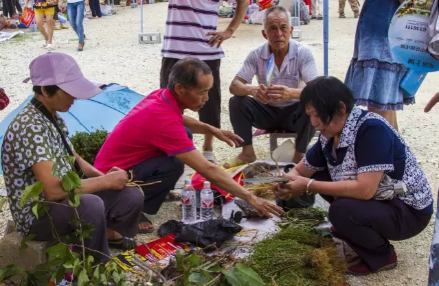 贝侬快认认，靖西端午百草鲜香最诱人！ - 靖西市·靖西网