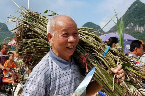 贝侬快认认，靖西端午百草鲜香最诱人！ - 靖西市·靖西网