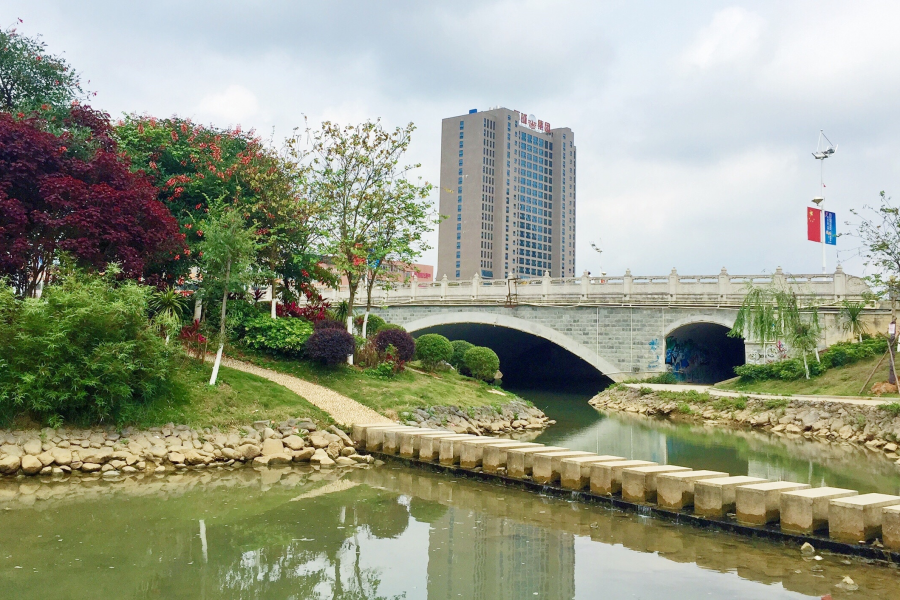 靖西湿地公园花正艳 - 靖西市·靖西网