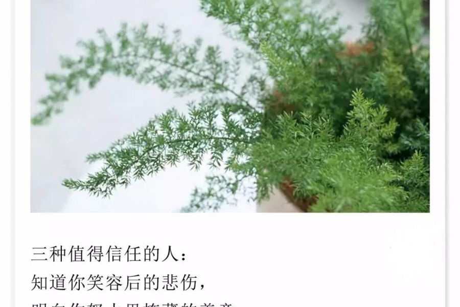 关于努力，这是我听过的最好答案 - 靖西市·靖西网