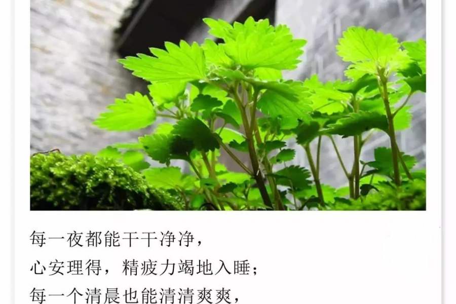 关于努力，这是我听过的最好答案 - 靖西市·靖西网