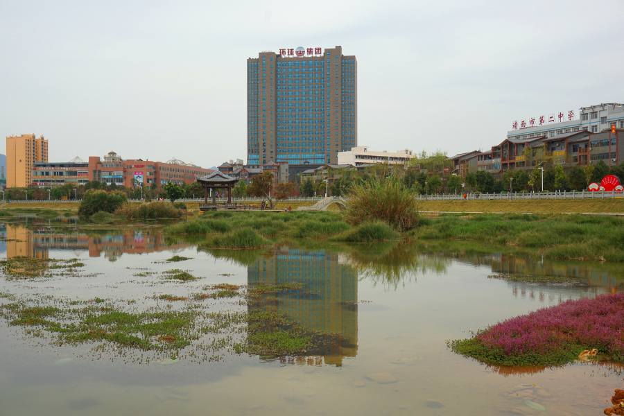 百色有4个国字头湿地公园，靖西龙潭国家湿地公园 - 靖西市·靖西网