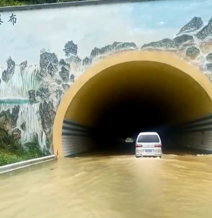 今日靖西连续降雨，高速路涨水，大鱼们跑到田间游荡 - 靖西市·靖西网