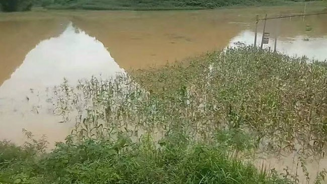 近日，靖西连续降雨，多地出现不同程度的灾害 - 靖西市·靖西网