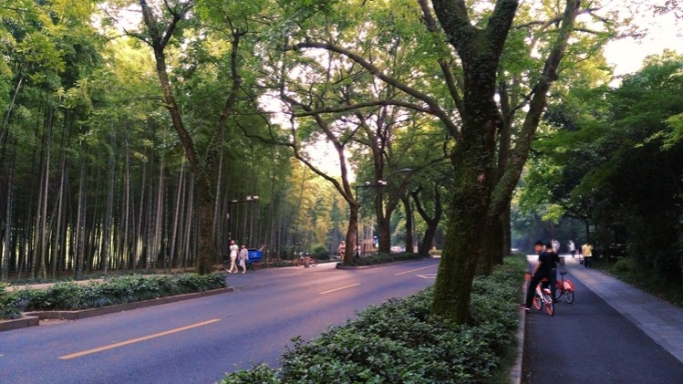 谁不喜欢这样的城市建设？谁不喜欢这样的城市？ - 靖西市·靖西网