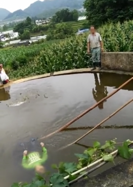 德保又出事了 露天水池溺毙孩子 - 靖西市·靖西网