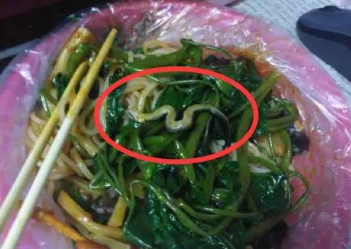 广西大学生螺蛳粉里吃出蛇，涉事粉店已停业 - 靖西市·靖西网