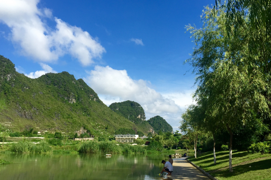 浪漫的夏季_靖西龙潭河岸景色。 - 靖西市·靖西网