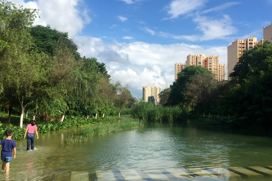 浪漫的夏季_靖西龙潭河岸景色。 - 靖西市·靖西网