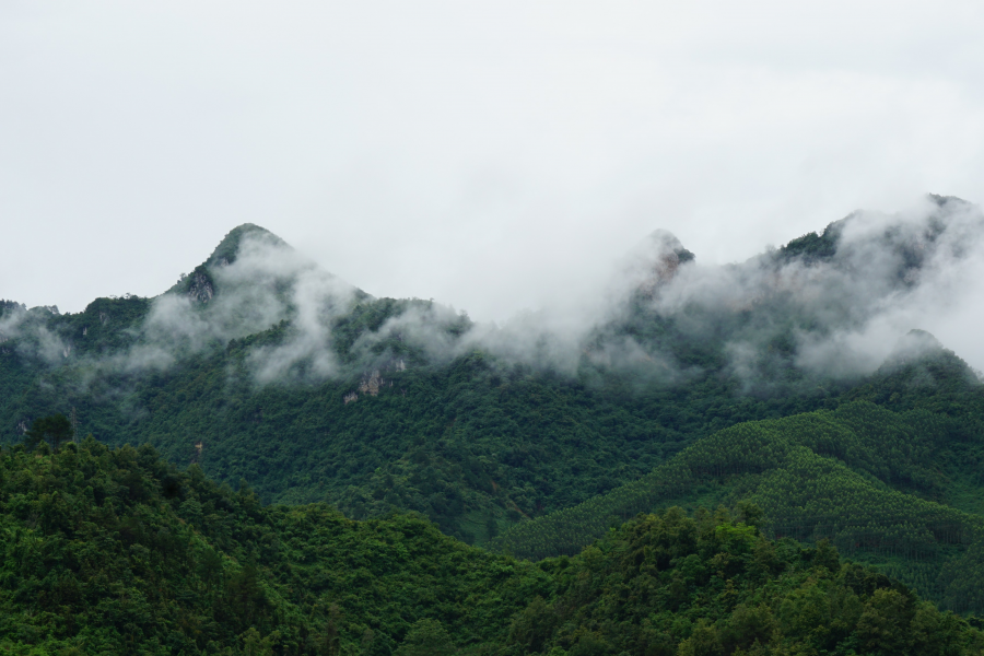 雨过天晴云雾轻,雨后的靖西山村宛若仙境,靖西特有 - 靖西市·靖西网