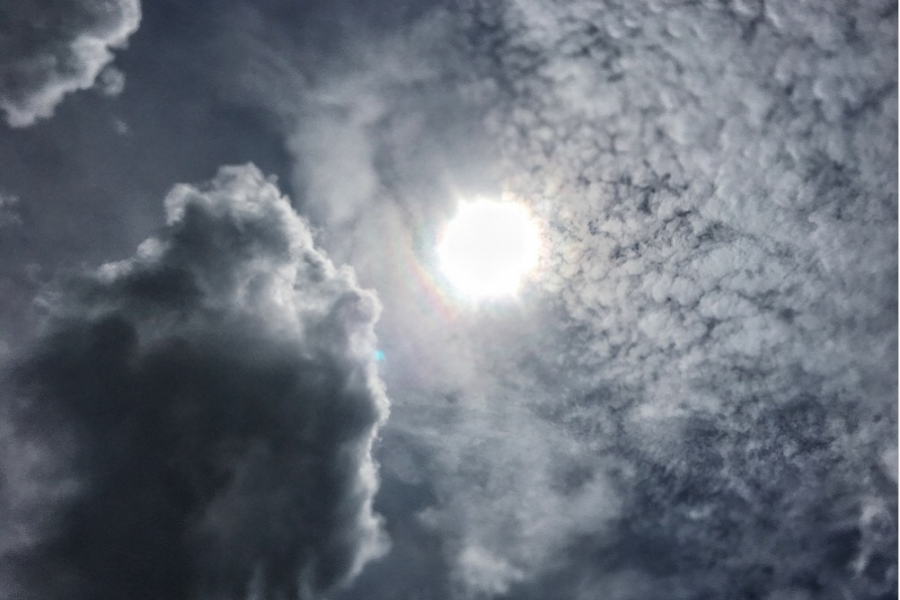 靖西的瑞祥现象 - 靖西市·靖西网