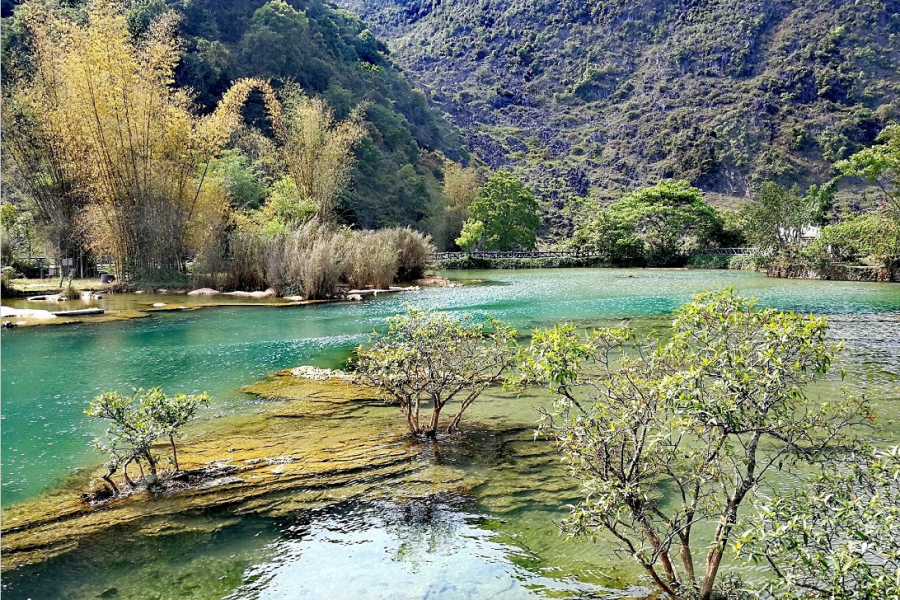 靖西三大景：龙潭，旧州，鹅泉 - 靖西市·靖西网