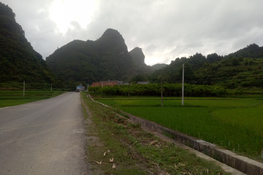 在济南，回到靖西，淋一场家乡的雨 - 靖西市·靖西网