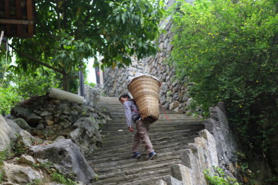 避暑桃花源--狂欢啤酒节旅游攻略 - 靖西市·靖西网