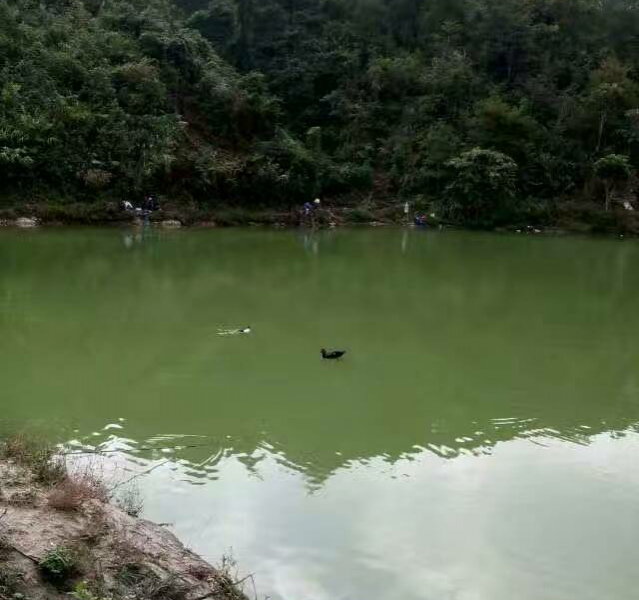 鱼塘开钓 - 靖西市·靖西网