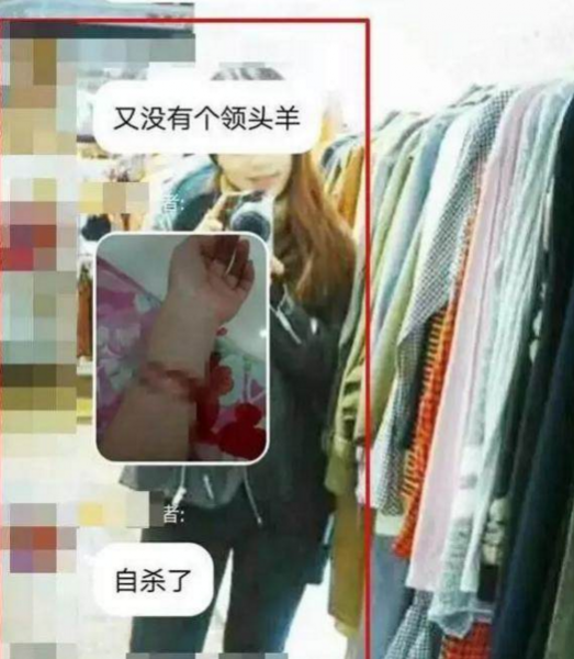 大马夫妇诈骗40万中国人卷走300亿 受害者直播自杀 - 靖西市·靖西网