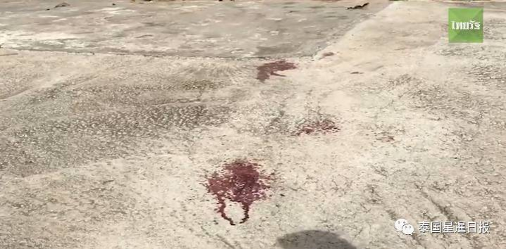 泰国村长一家遭暴徒乱枪狂扫屠杀 8死3伤 - 靖西市·靖西网