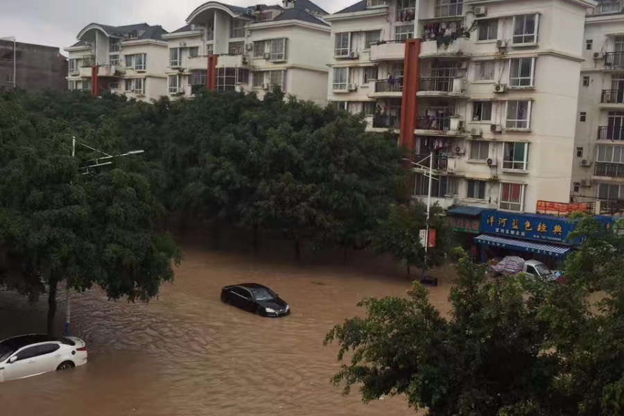 《我可以泡你吗玉林》，玉林暴雨神曲传疯了 - 靖西市·靖西网