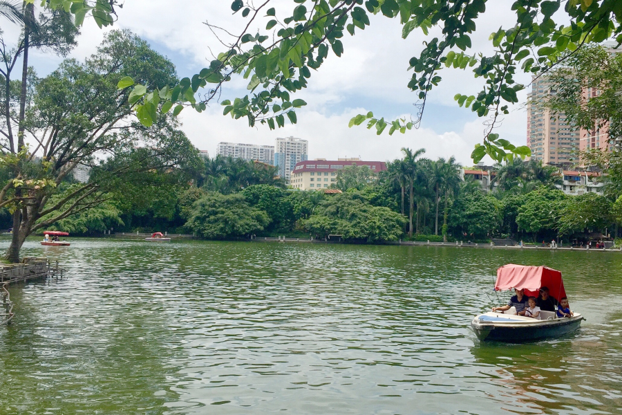 浪漫的夏日，缤纷的假期。 - 靖西市·靖西网