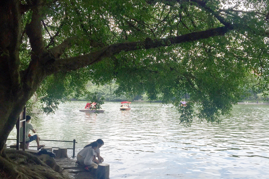 浪漫的夏日，缤纷的假期。 - 靖西市·靖西网