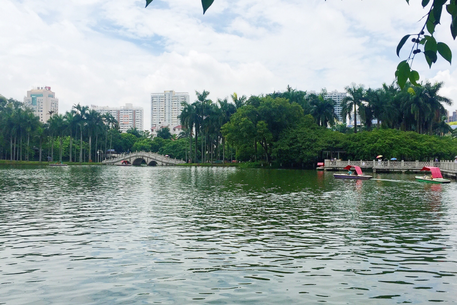 浪漫的夏日，缤纷的假期。 - 靖西市·靖西网