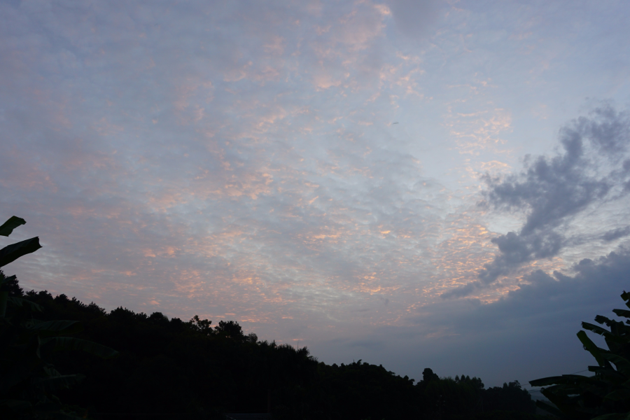 一日流光天将暮，落霞又现夕阳西。 - 靖西市·靖西网