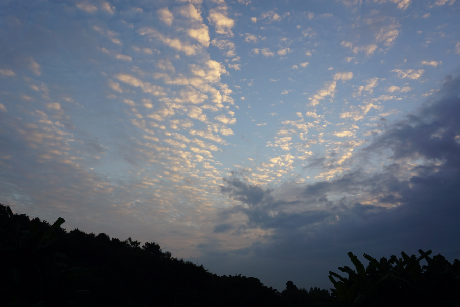 一日流光天将暮，落霞又现夕阳西。 - 靖西市·靖西网