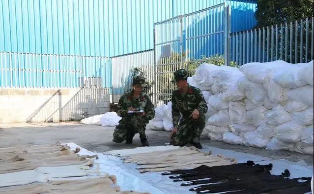 厉害了！靖西边境走私被抓，查获都是珍贵稀有品啊~~~~~ - 靖西市·靖西网