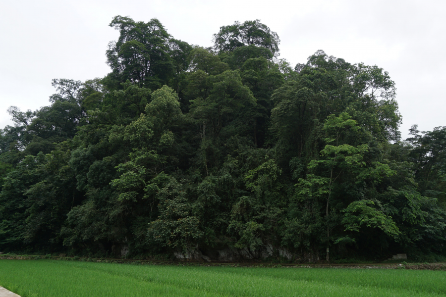 山村小景 - 靖西市·靖西网