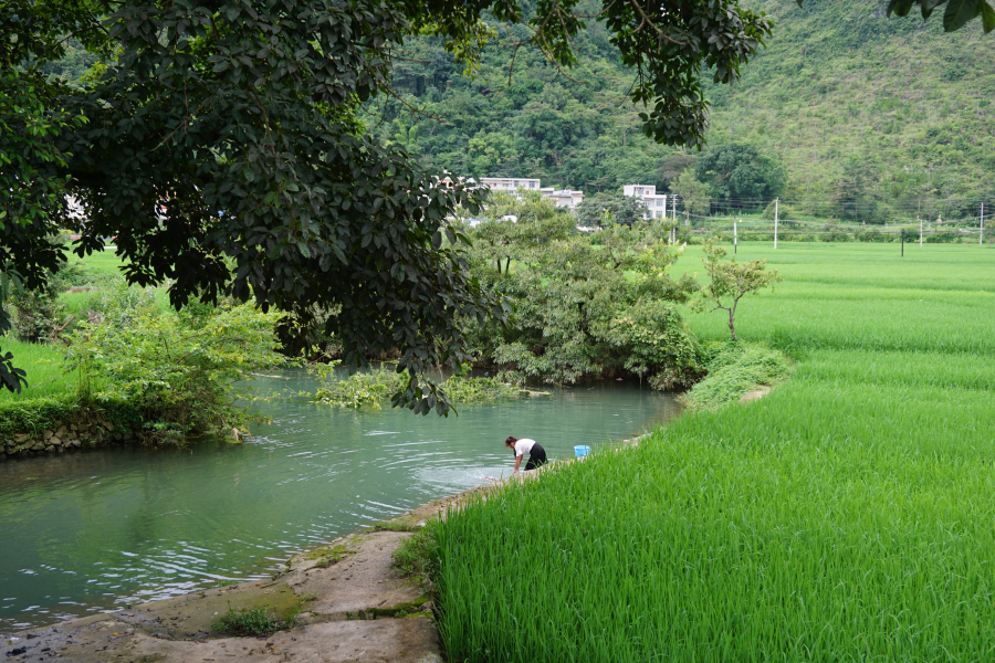 山村小景 - 靖西市·靖西网