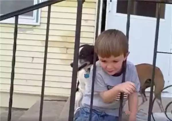 外国小男孩头被栏杆卡住了, 爸爸的处理让国人大开眼界 - 靖西市·靖西网