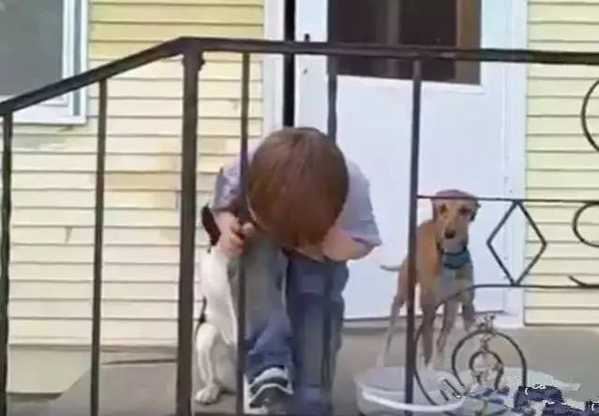 外国小男孩头被栏杆卡住了, 爸爸的处理让国人大开眼界 - 靖西市·靖西网