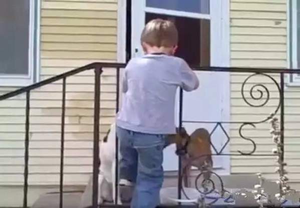 外国小男孩头被栏杆卡住了, 爸爸的处理让国人大开眼界 - 靖西市·靖西网