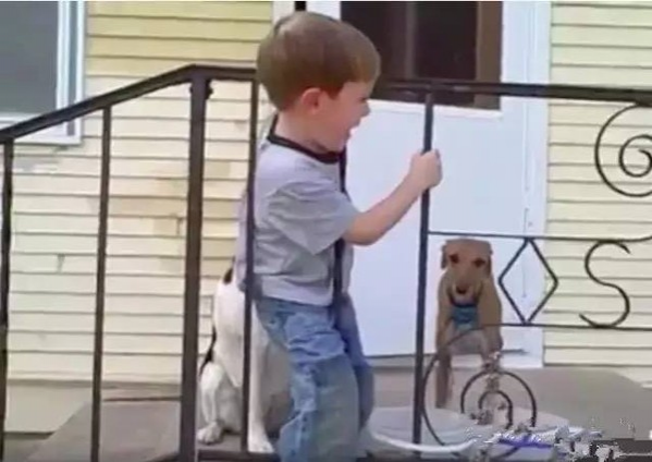 外国小男孩头被栏杆卡住了, 爸爸的处理让国人大开眼界 - 靖西市·靖西网