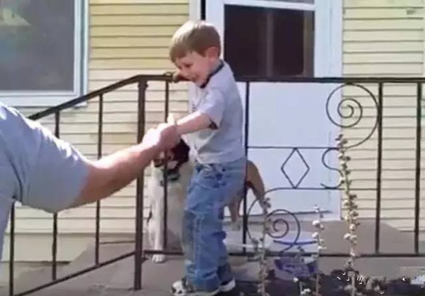 外国小男孩头被栏杆卡住了, 爸爸的处理让国人大开眼界 - 靖西市·靖西网