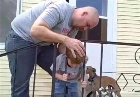 外国小男孩头被栏杆卡住了, 爸爸的处理让国人大开眼界 - 靖西市·靖西网