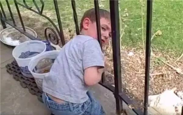 外国小男孩头被栏杆卡住了, 爸爸的处理让国人大开眼界 - 靖西市·靖西网