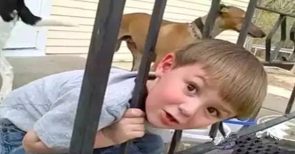 外国小男孩头被栏杆卡住了, 爸爸的处理让国人大开眼界 - 靖西市·靖西网