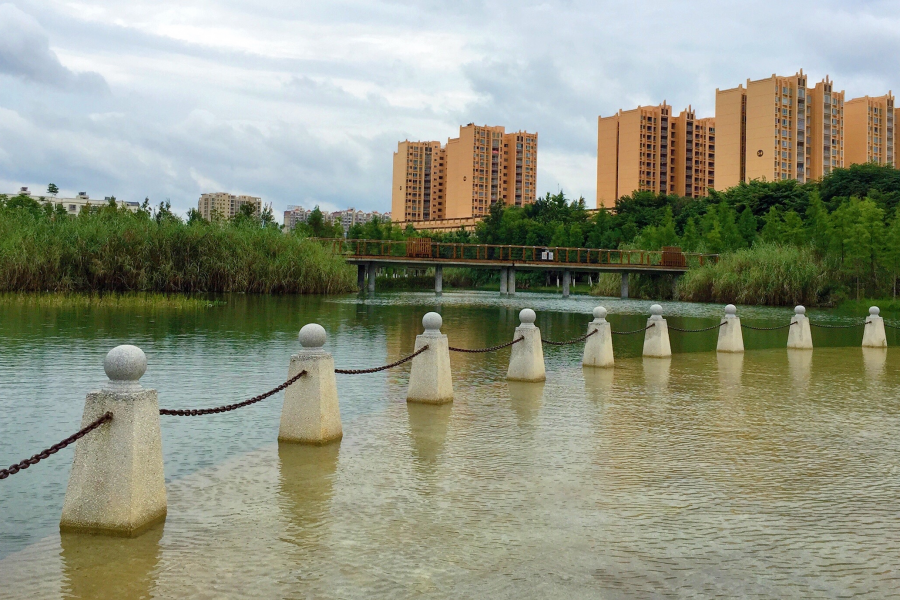 江南水乡，美丽靖西。 - 靖西市·靖西网