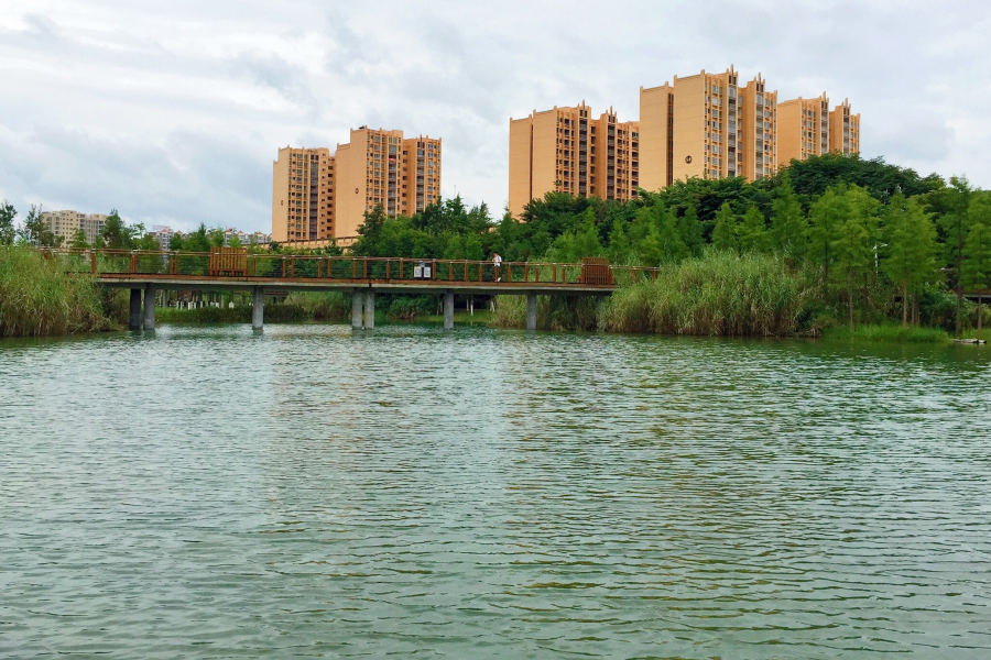 江南水乡，美丽靖西。 - 靖西市·靖西网